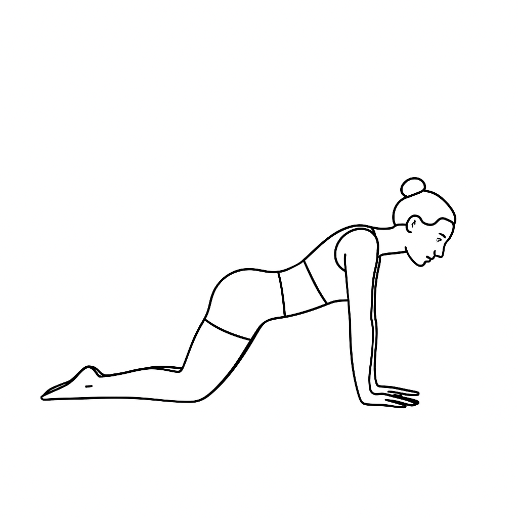 Generated image for the plank-alternate yoga pose.