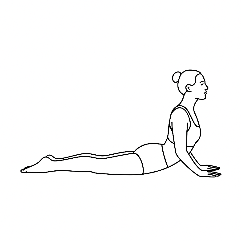 Generated image for the seal yoga pose.